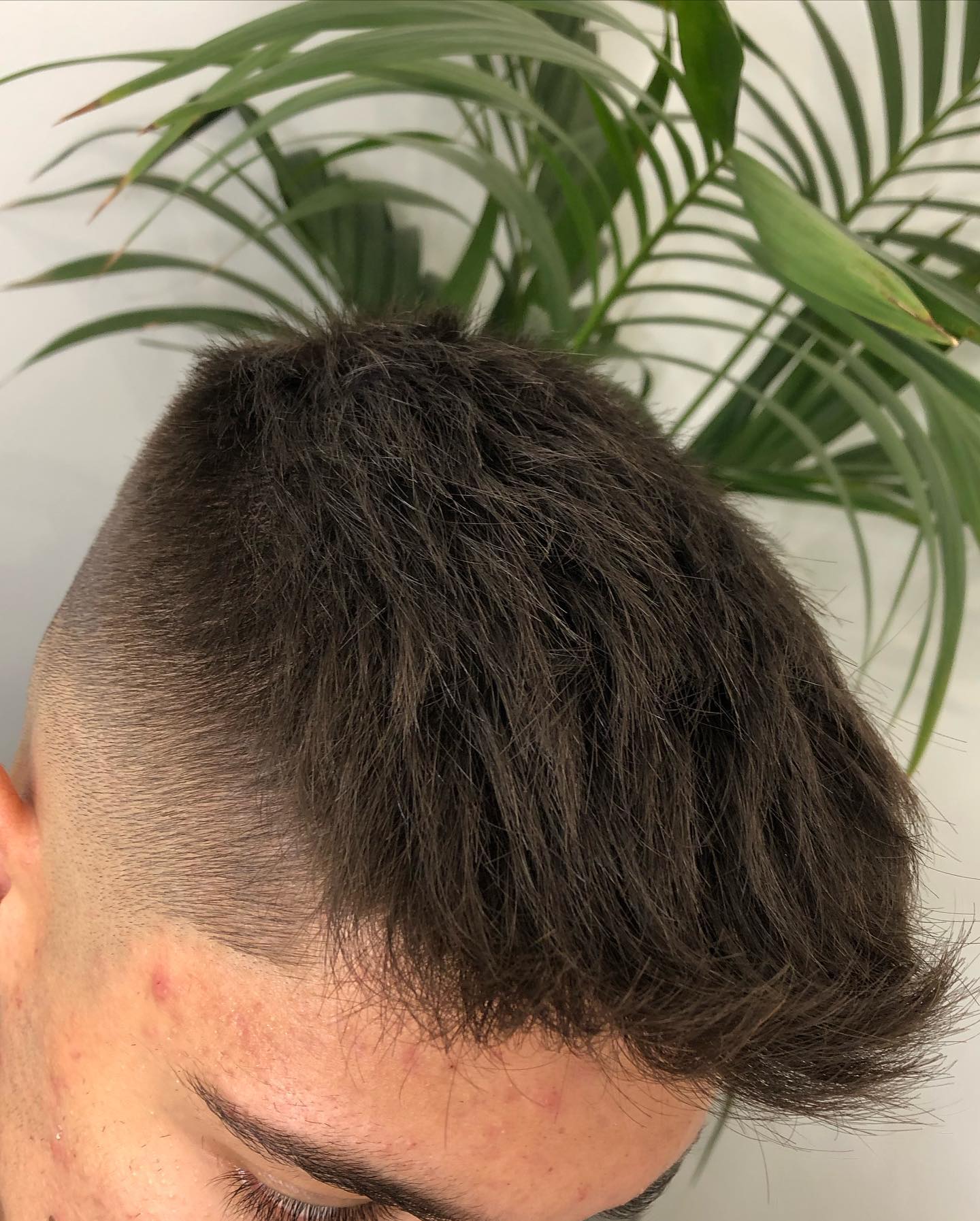Lavoro barber pubblicato da Antonio Piserà